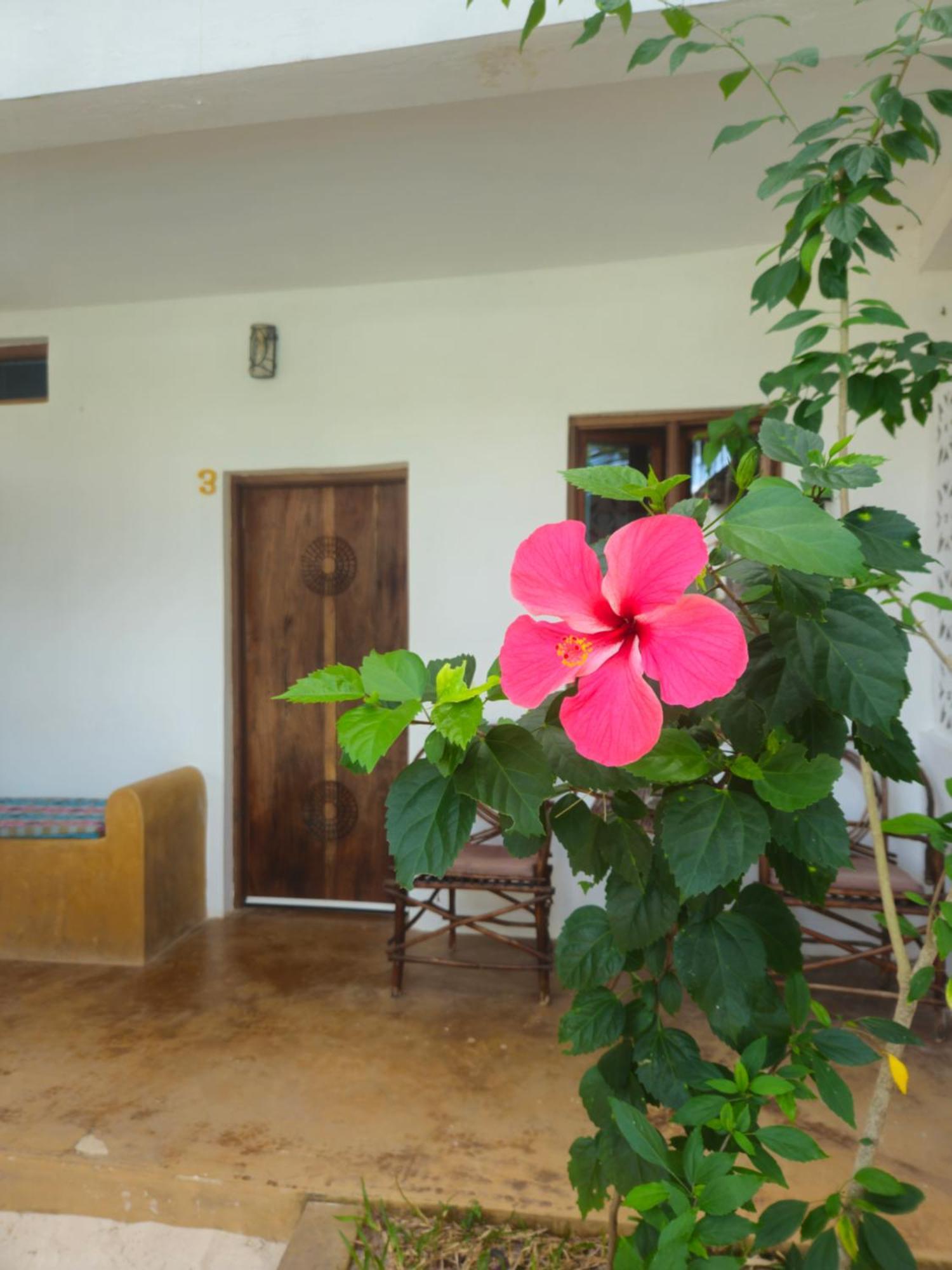马特姆维Kiganja住宿加早餐旅馆 外观 照片